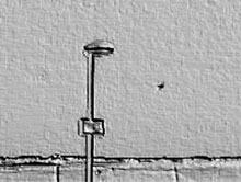 Ufo avvistato nel cagliaritano, è un insetto? (LE FOTO ORIGINALI) 56 ufo2