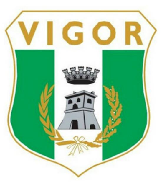 Vigor Lamezia logo