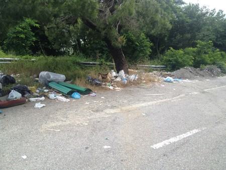 Foto 20-07-14 11 50 28