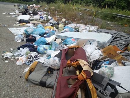 Foto 20-07-14 11 50 36