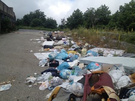 Foto 20-07-14 11 50 38 1