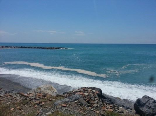 mare