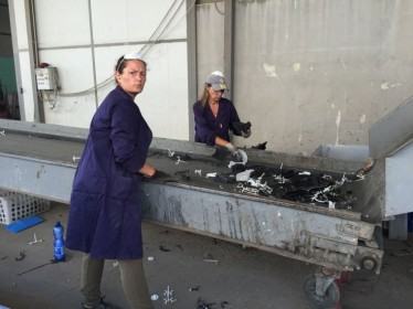 Quando la differenziata diventa business, a Corigliano la plastica si ricicla creando lavoro (FOTO) 70 GUCCIONE-RIGENERA-230715 (13)