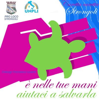 Domani la Pro Loco di Strongoli organizza l'iniziativa “Salviamo la tartaruga Caretta Caretta” 54 caretta caretta design francesco cuverà