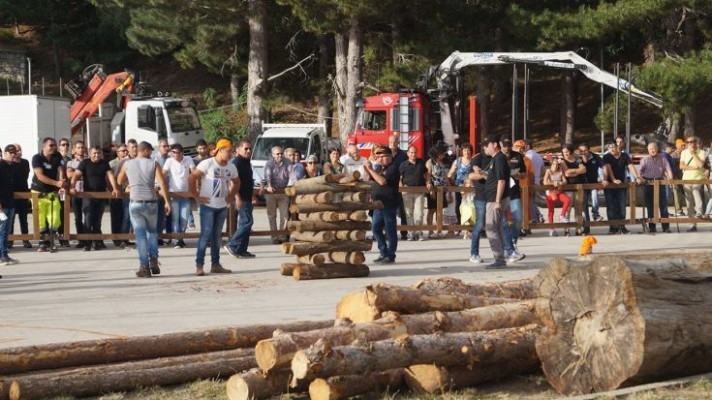 (GUARDA LE FOTO) Boscovivo 2015: grande successo in Sila per la manifestazione dedicata al bosco 54 BoscoVivo5