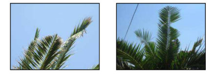 Schermata 2015-09-02 alle 11.48.05