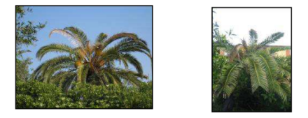 Schermata 2015-09-02 alle 11.50.54