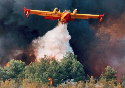 Brucia la Calabria e la provincia di Cosenza. Il Commissario capo del CFS, Rosetti: "Il 98% degli incendi è di origine dolosa" (AUDIO INTERVISTA) 54 corpo-forestale-large