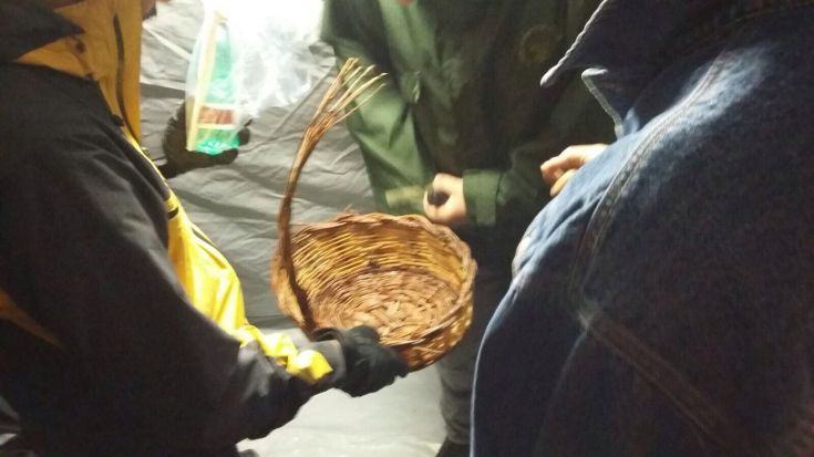 Il cestino per i funghi di Brunella