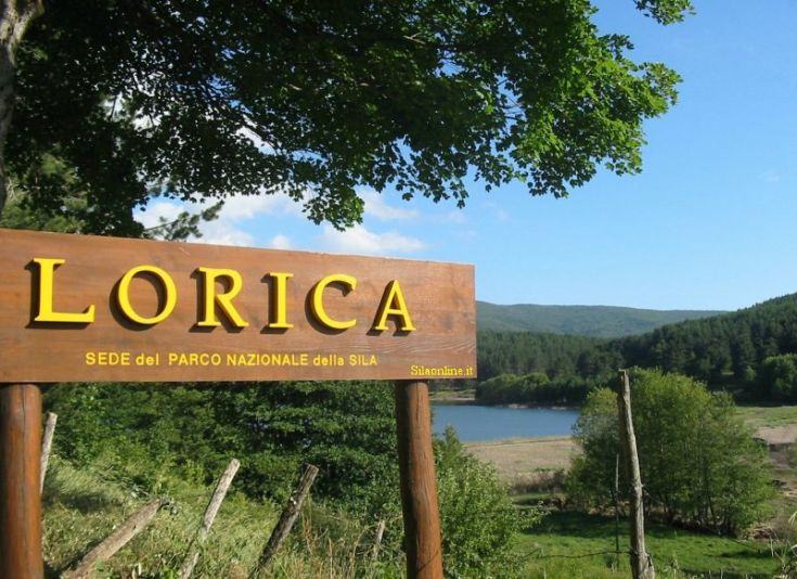 lorica