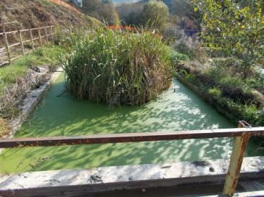 Depuratore Fagnano Castello 018