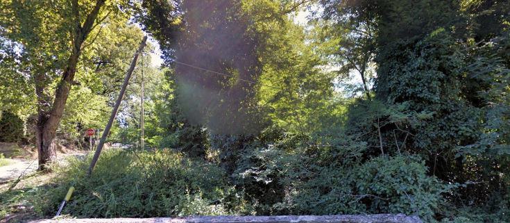 VIa XX Settembre: un palo della Telecom piegato dal peso degli arbusti