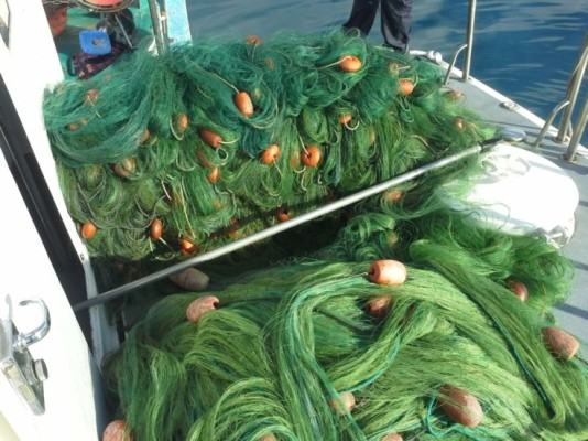 Gigantesca operazione della Guardia Costiera in Calabria: sequestrati 9.000 metri di reti illegali e 750 kg di pesce 56 Sequestro reti2