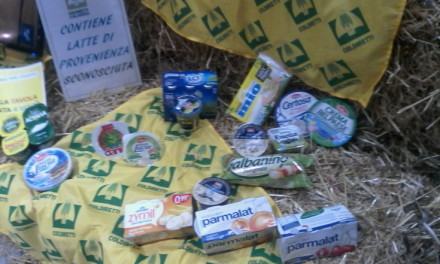 Produttori latte 'trasformano' il Metropolis in una stalla: ''Le multinazionali vi truffano'' (FOTO) 112 coldiretti-latte (1)