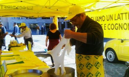 Produttori latte 'trasformano' il Metropolis in una stalla: ''Le multinazionali vi truffano'' (FOTO) 124 coldiretti-latte (13)