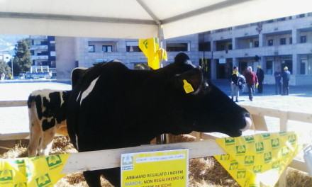 Produttori latte 'trasformano' il Metropolis in una stalla: ''Le multinazionali vi truffano'' (FOTO) 131 coldiretti-latte (20)