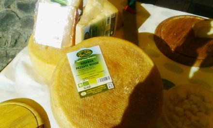 Produttori latte 'trasformano' il Metropolis in una stalla: ''Le multinazionali vi truffano'' (FOTO) 137 coldiretti-latte (26)