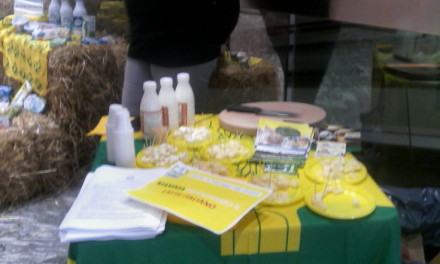 Produttori latte 'trasformano' il Metropolis in una stalla: ''Le multinazionali vi truffano'' (FOTO) 114 coldiretti-latte (3)
