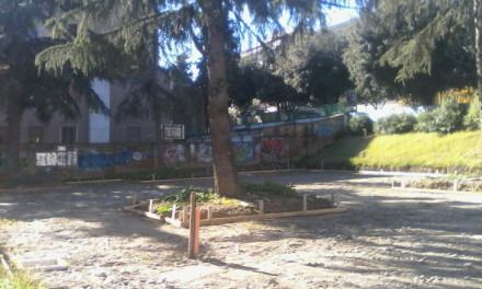 Continuano i lavori nel parco Piero Romeo di via Misasi (FOTO) 73 terra-piero (4)