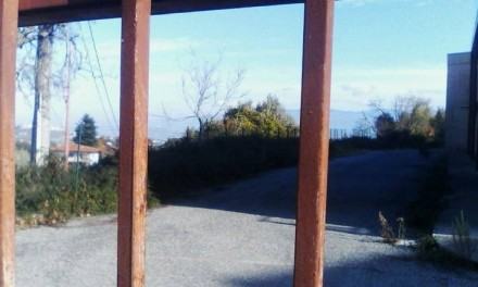 11140087_1619960441599093_5869367496918329641_n