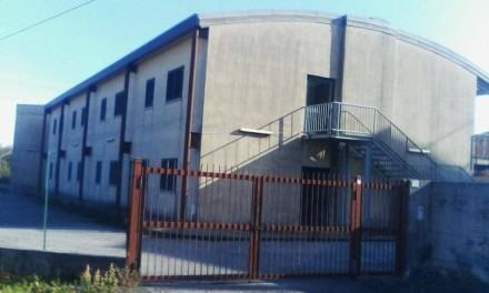 12310572_1619960838265720_3646596509289395782_n