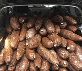 Il carico di 'manioca' che celava invece la cocaina