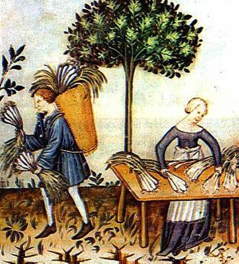 Medio Evo in Calabria