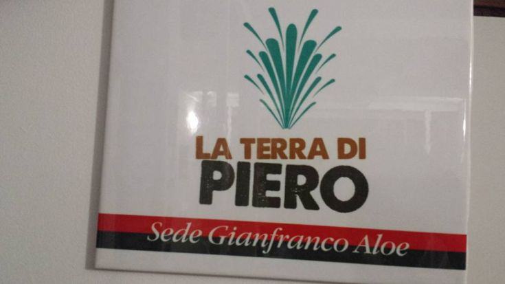 sede terra piero