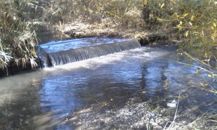 Rende: l'acqua dei torrenti Emoli e Surdo 'puzza', intervento immediato della Polizia Municipale (FOTO) 60 villaggio-europa (1)