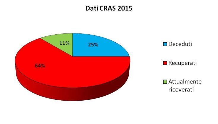 Rende, il bilancio 2015 delle specie selvatiche curate al CRAS. Una poiana, il primo esemplare ricoverato del 2016 54 Dati CRAS 2015