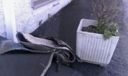 Cosenza, incendio doloso ai danni del Cash & Carry (FOTO) 57 IMG_20160128_133221