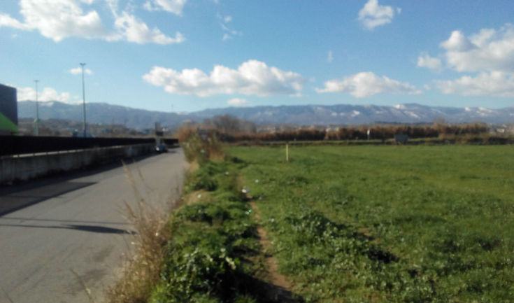 Cani randagi ammalati segnalati a Zumpano, l'AiC: "il sindaco snobba le associazioni". La polizia municipale: "nessun caso rilevato" 63 foto vigili zumpano03