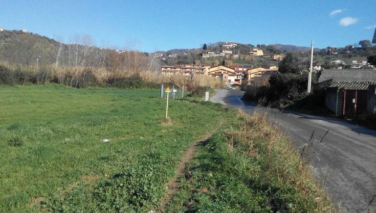 Cani randagi ammalati segnalati a Zumpano, l'AiC: "il sindaco snobba le associazioni". La polizia municipale: "nessun caso rilevato" 66 foto vigili zumpano04