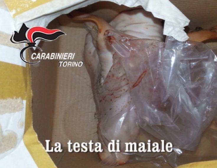 Operazione 'Big Bang' contro la 'ndrangheta attiva nel Torinese, venti arresti e 41 perquisizioni 54 testa-maiale