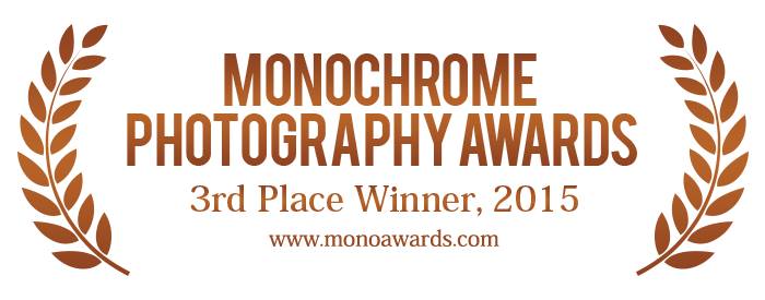 Un suggestivo 'scatto' del fotografo cosentino Guglielmelli al 3° posto della "Monochrome Photography Awards 2015" 54 12592780_10207339173711347_1424787533162203005_n