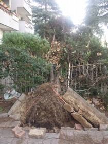 12782127_1019722671399208_1812537648_n