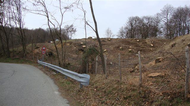 Taglio abusivo di alberi a Spezzano della Sila, due denunce 54 DSC04238