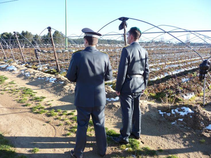 Contributi agricoli per terreni ottenuti con falsi documenti, due persone denunciate nel Cosentino 54 FOTO 2