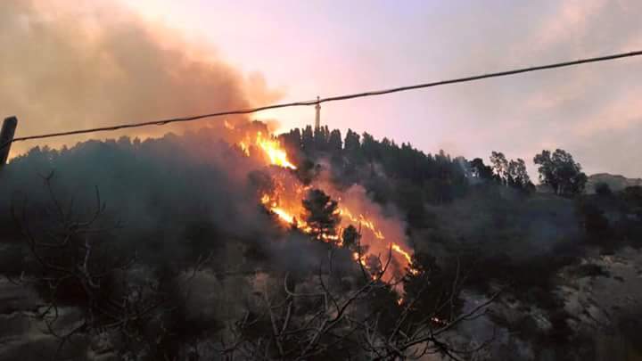Le fiamme che divorano la pineta del mausoleo di Bianchi