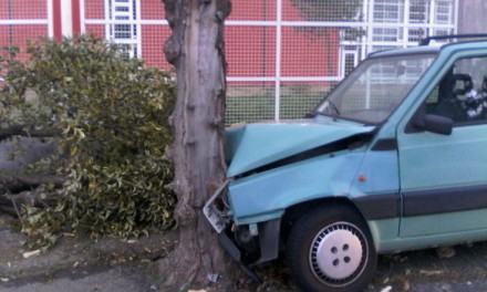 Giovane si schianta contro un albero in centro città (FOTO) 57 incidente-panebianco-citta-ragazzi (2)