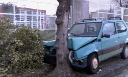 Giovane si schianta contro un albero in centro città (FOTO) 59 incidente-panebianco-citta-ragazzi (5)