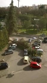 albero caduto cosenza autostrada