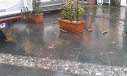 vento-cosenza-piazza-valdesi (3)