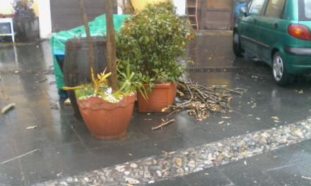 vento-cosenza-piazza-valdesi (4)