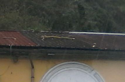 vento-cosenza-piazza-valdesi (7)