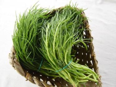 02 Agretti