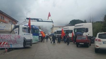 BISIGNANO-CONSULECO 5