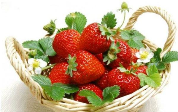 Fragole
