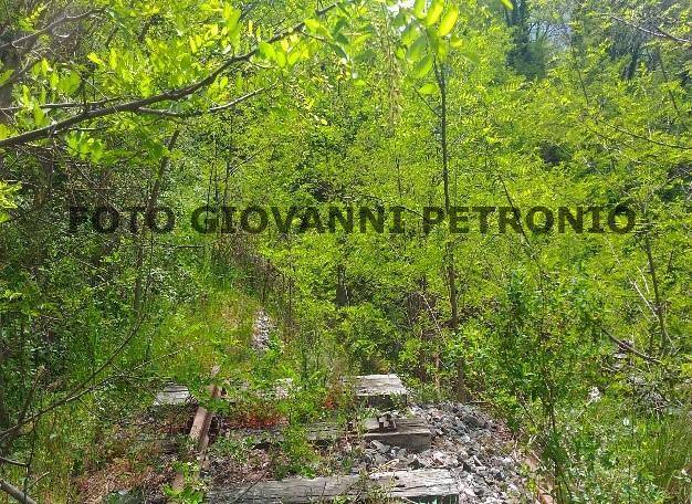 Soveria Mannelli-Rogliano01