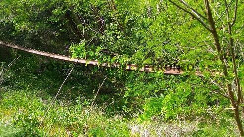 Soveria Mannelli-Rogliano06